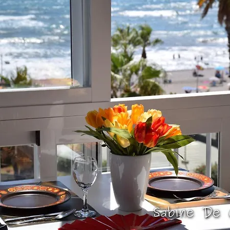 Nest By The Sea Wake Up With Ocean Views In Every Ruselo R408 Apartment