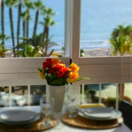 Apartment Nest By The Sea Wake Up With Ocean Views In Every Ruselo R408
