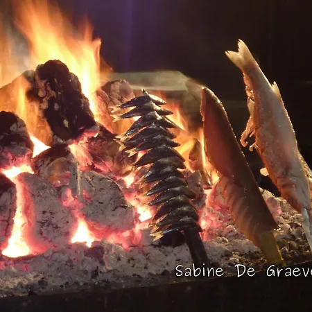 Ruselo (Adults Only)